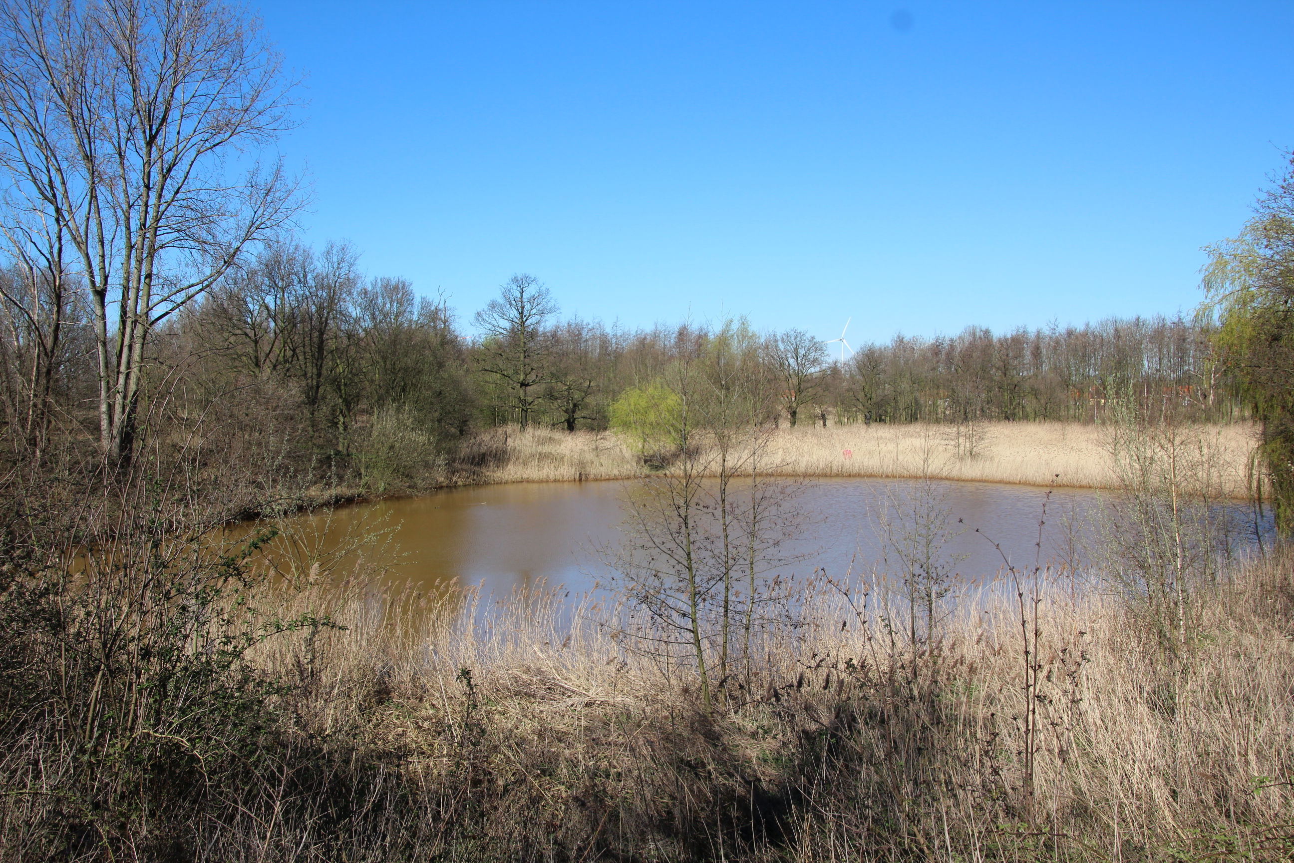 Opstalvallei _ natte natuur