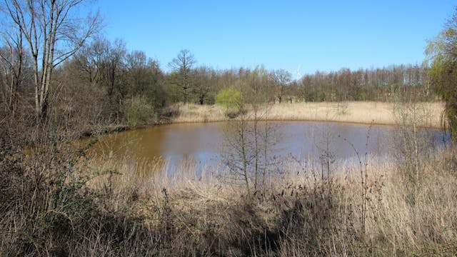 Opstalvallei _ natte natuur