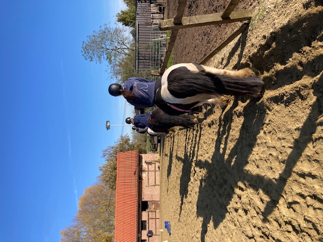 Coaching Met & Door Paarden werkt trajecten uit die kinderen en jongeren helpen naar vertrouwen, zelfinzicht, zelfsturing en zelfwaarde. 
