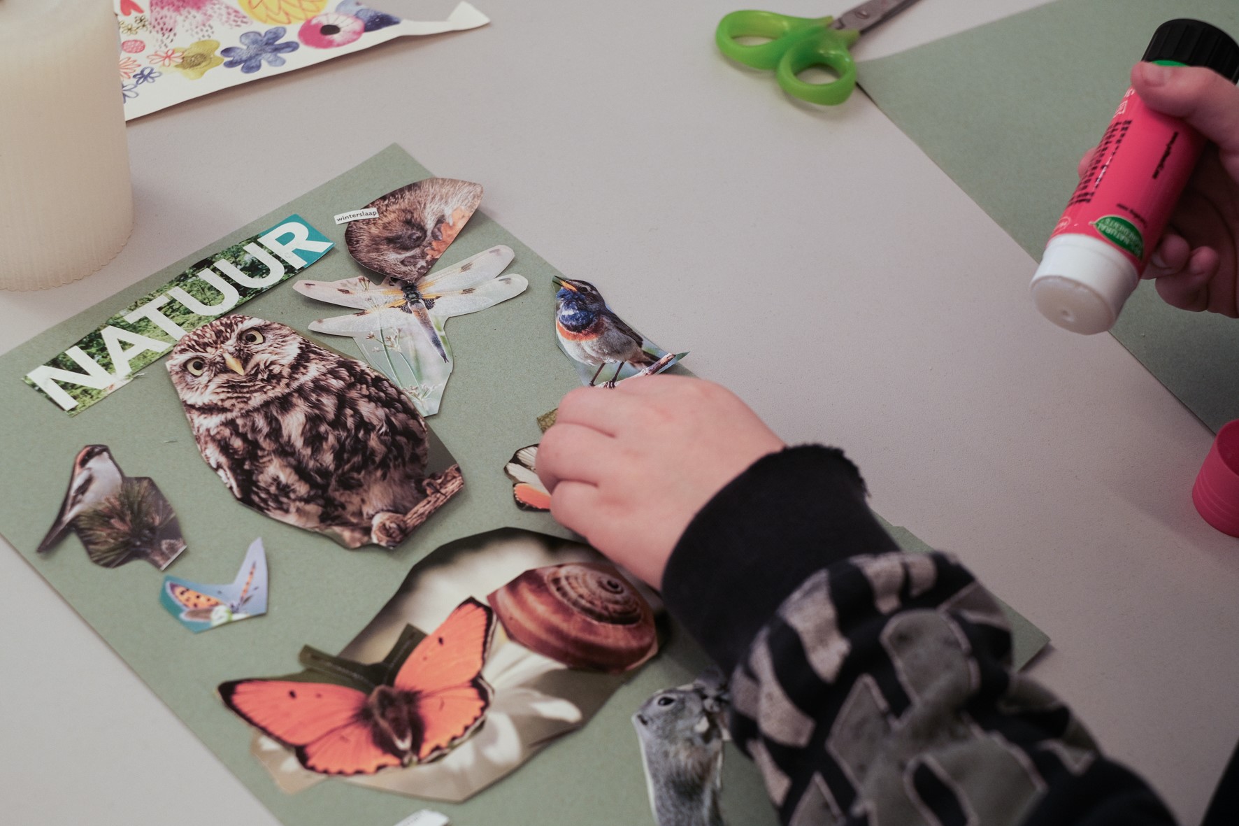 NATUUR KNUTSELEN | 6-9 jaar | Hasselt