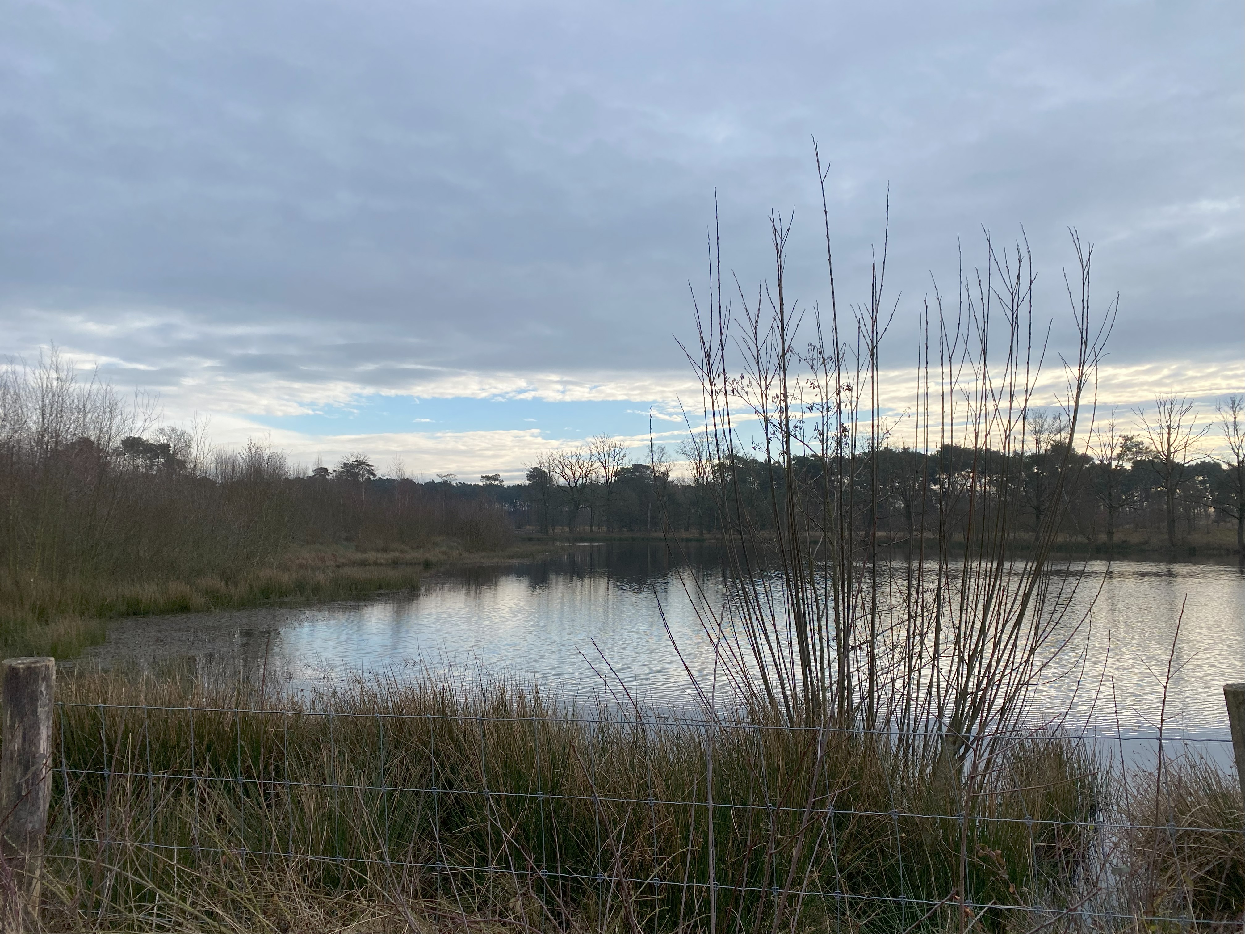wandeling Vertekijkers natuur