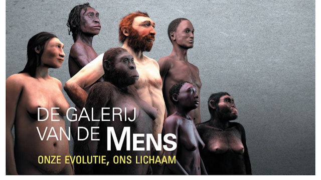 La Galerie de l'Homme - Notre évolution, notre corps