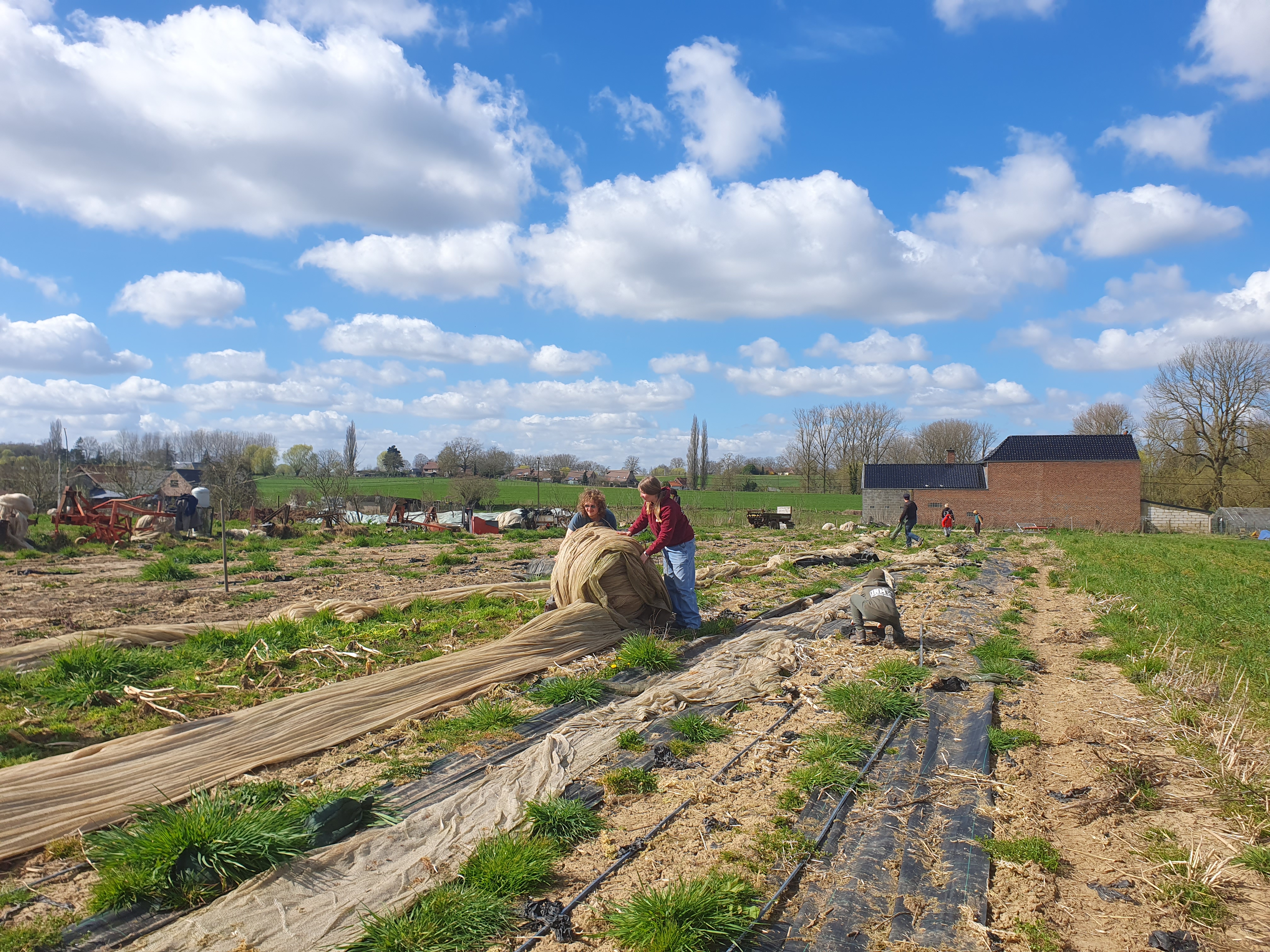 Groentevelden De Groentelaar