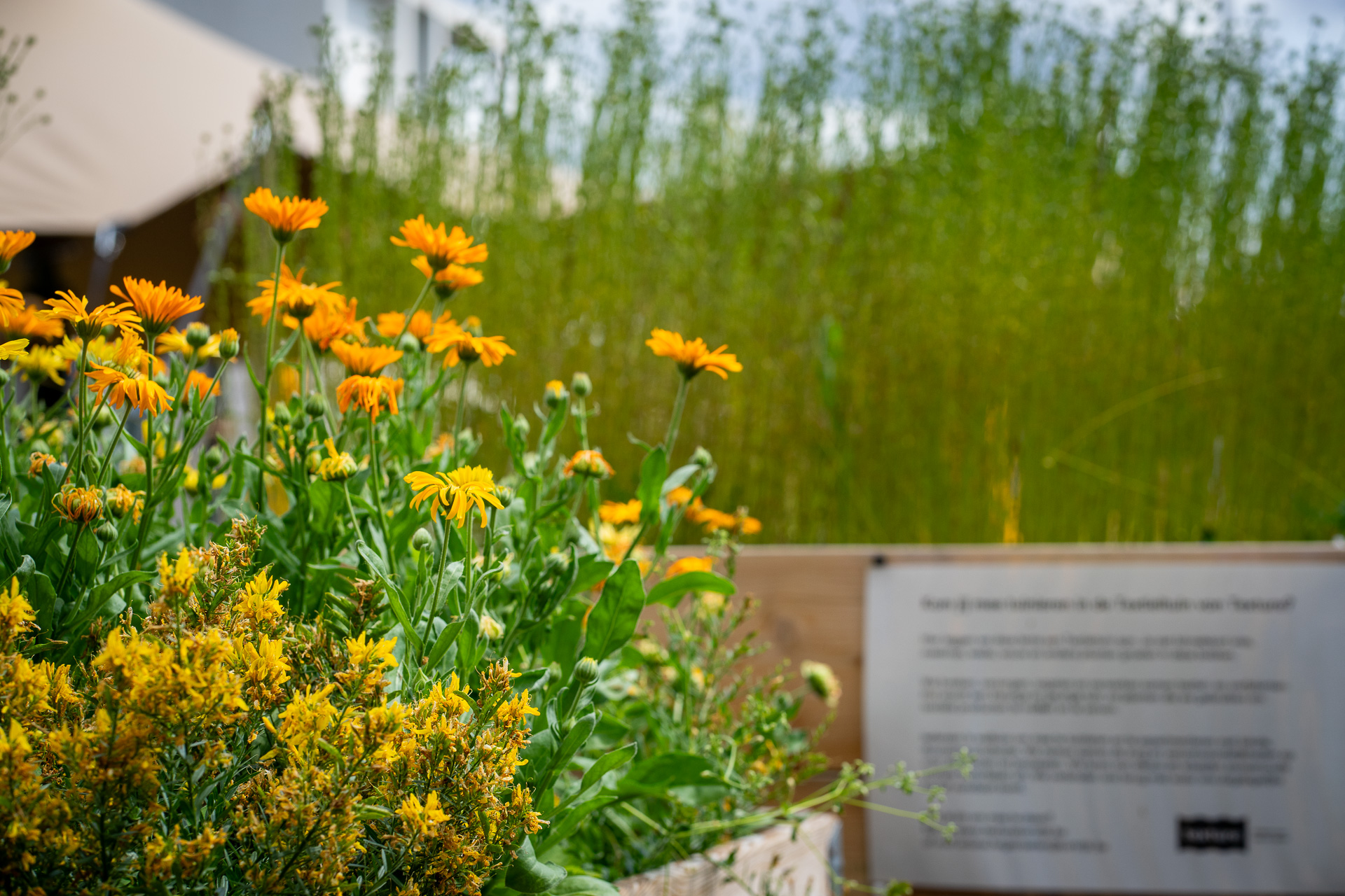 Textieltuin van museum Texture