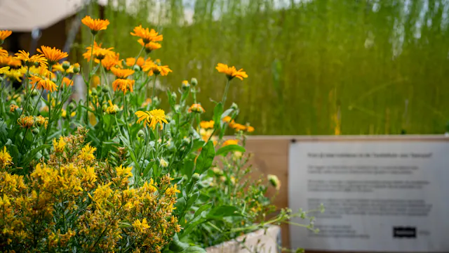 Textieltuin van museum Texture