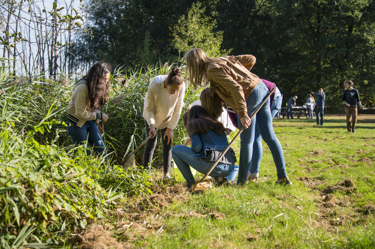 Op onderzoek in de natuur van Het Vinne