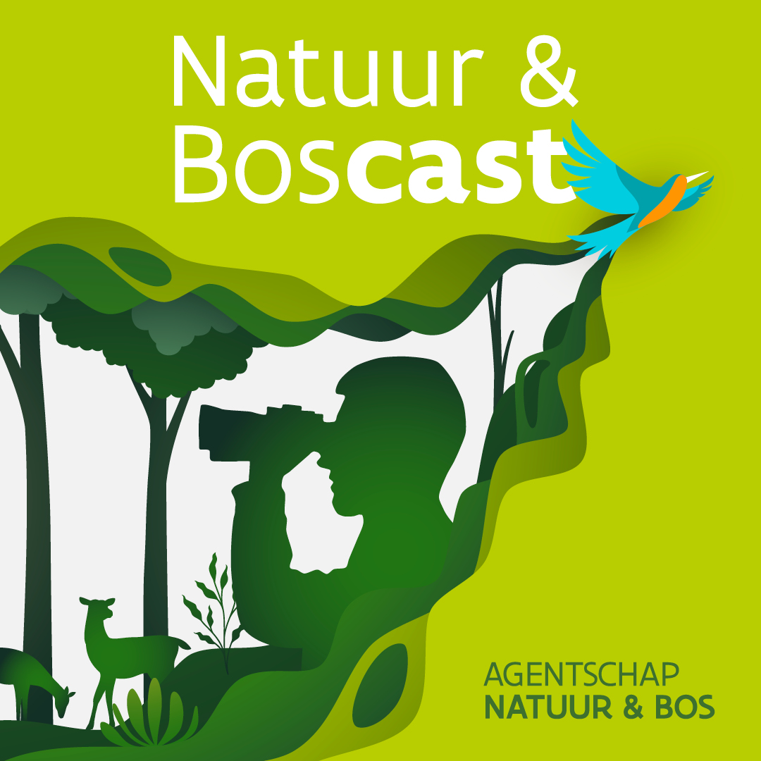 Natuur & Boscast: de boswachter