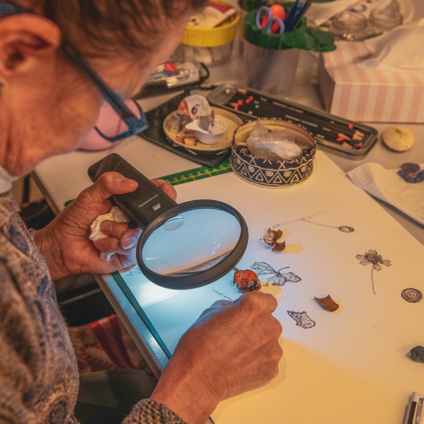 Botanisch tekenen jaartraject momentopname