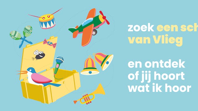 afbeelding schatten van vlieg