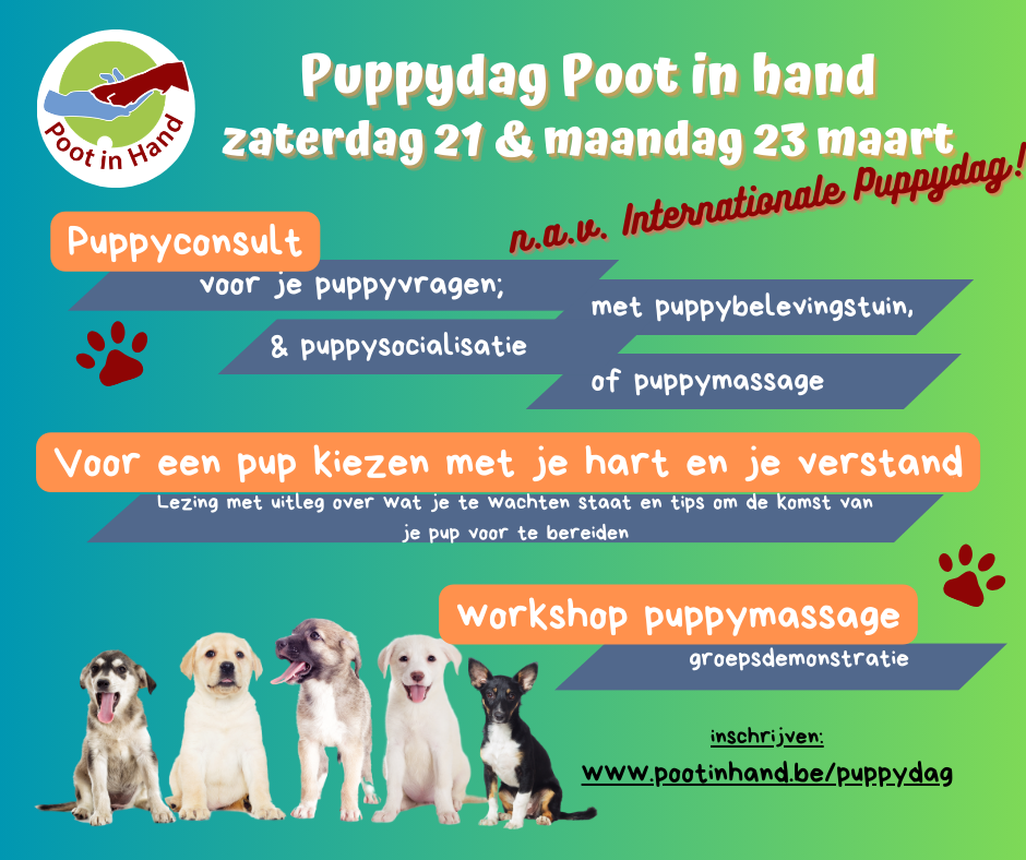 Programma puppydag bij Poot in hand