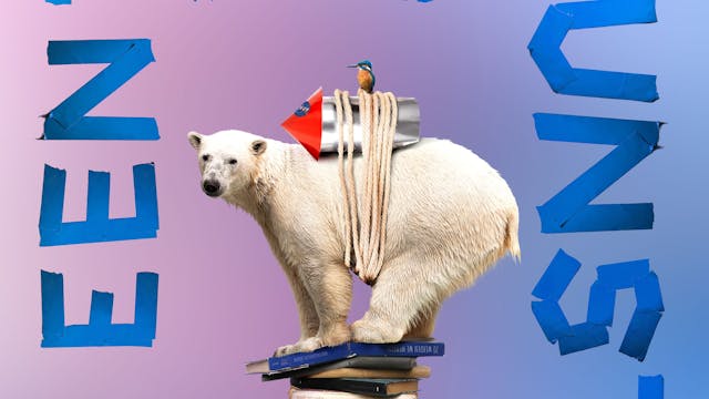 Affiche Een koud kunstje