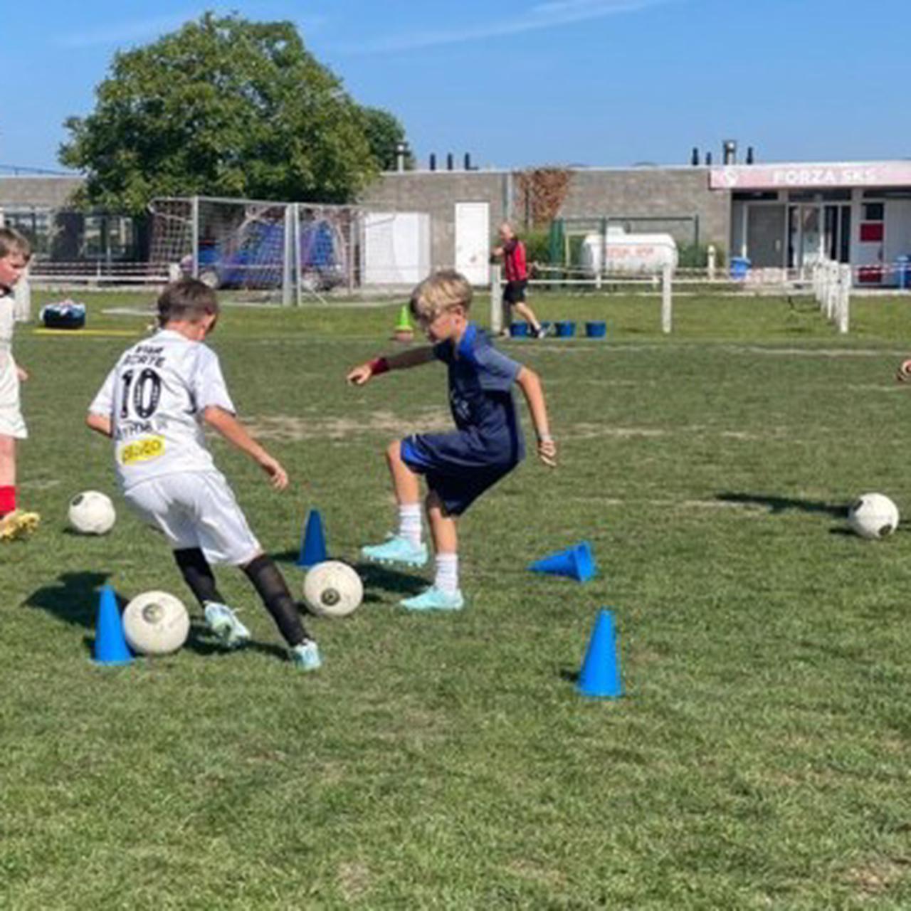 Zomerstage augustus - Staden
