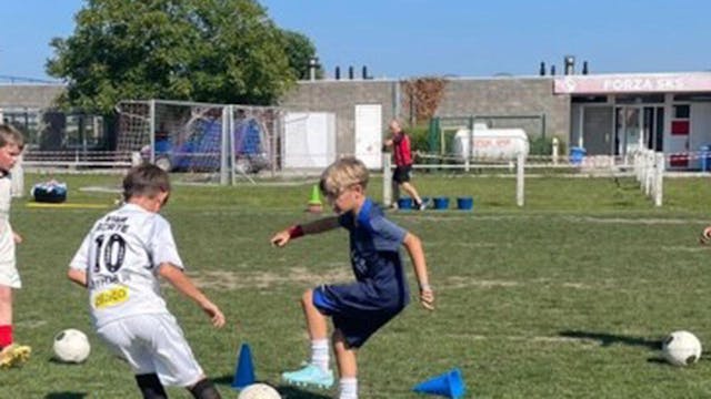Zomerstage augustus - Staden