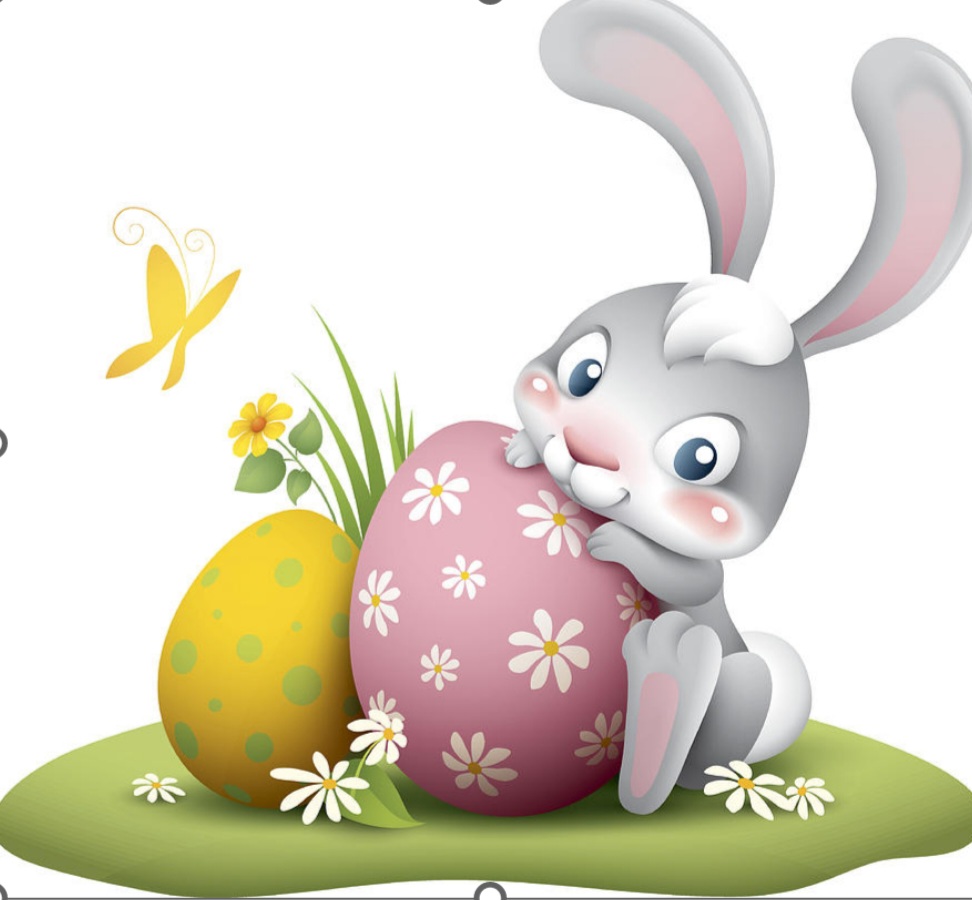 Image for gzbd activity