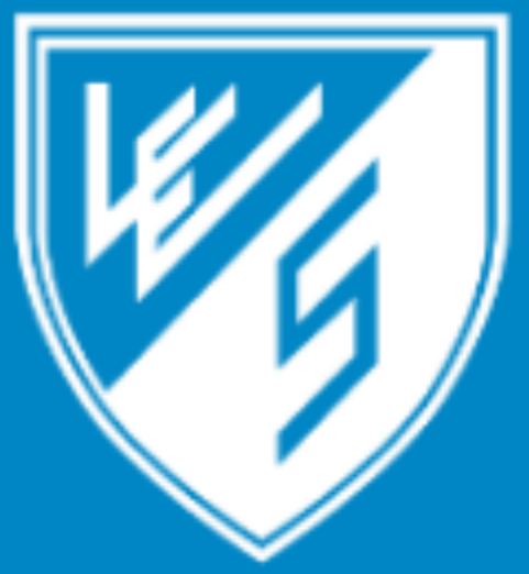 VES Hingene