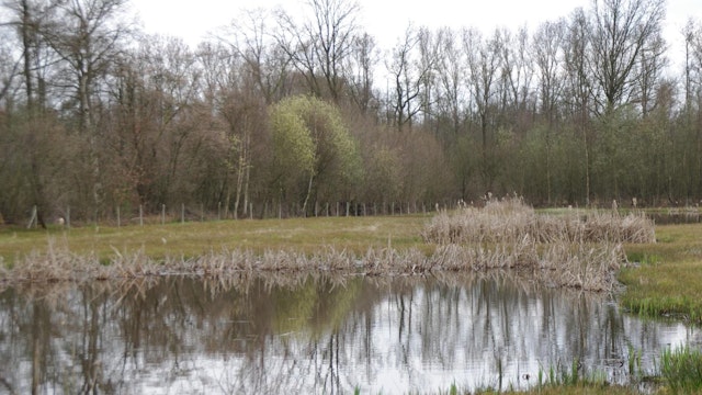 De lente is in aantocht