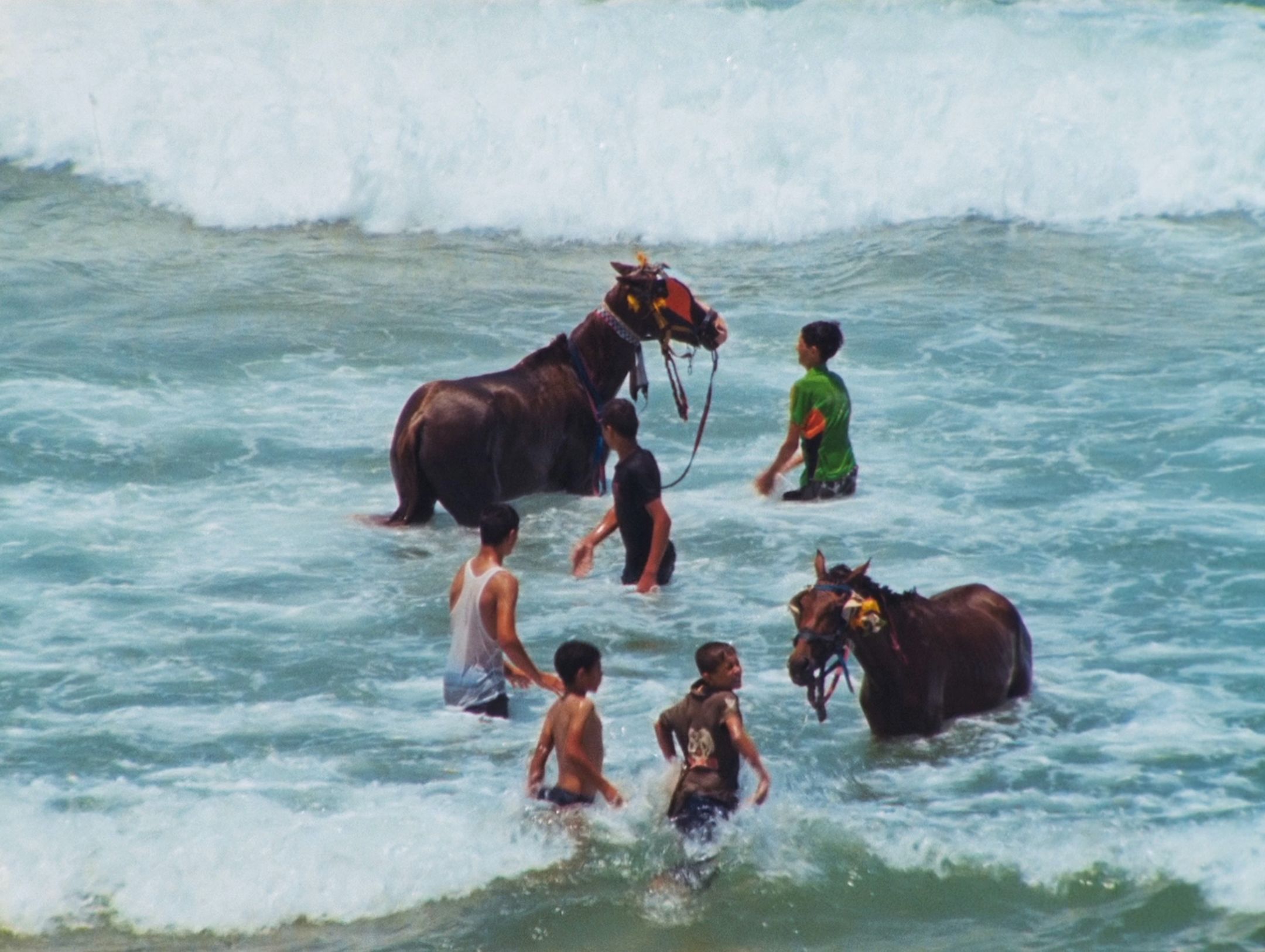 Rosalind Nashashibi - Electrical Gaza, 2015