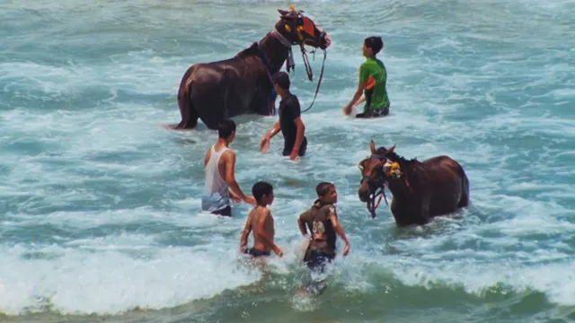 Rosalind Nashashibi - Electrical Gaza, 2015