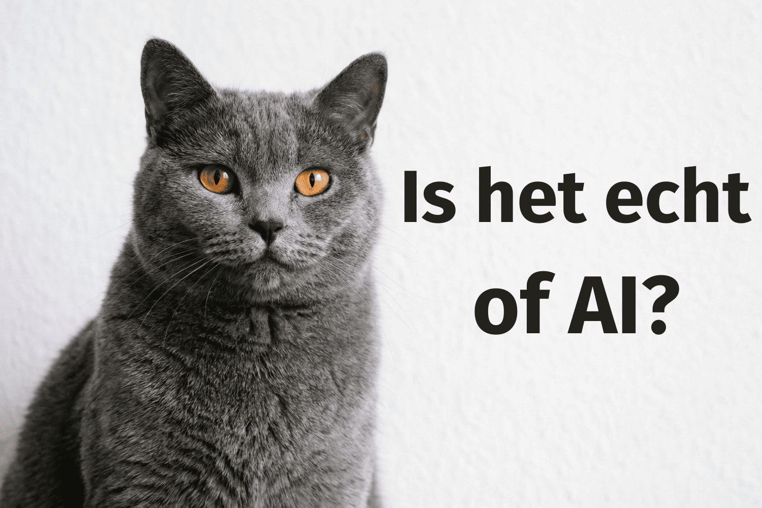 In Parlé - over waarheid en vertrouwen in tijden van AI
