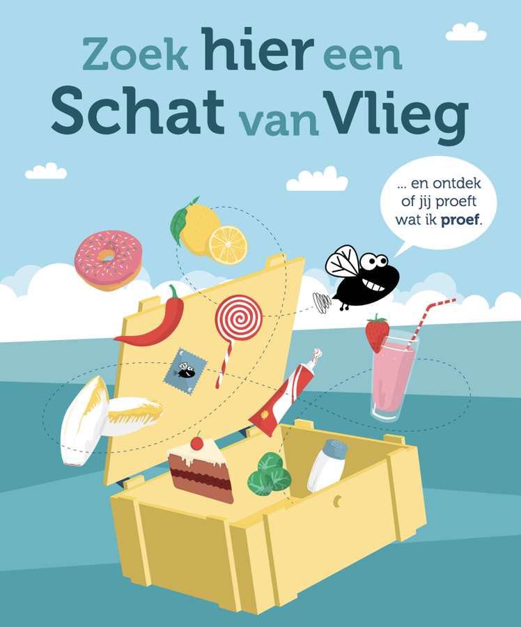 zoek hier een schat van vlieg