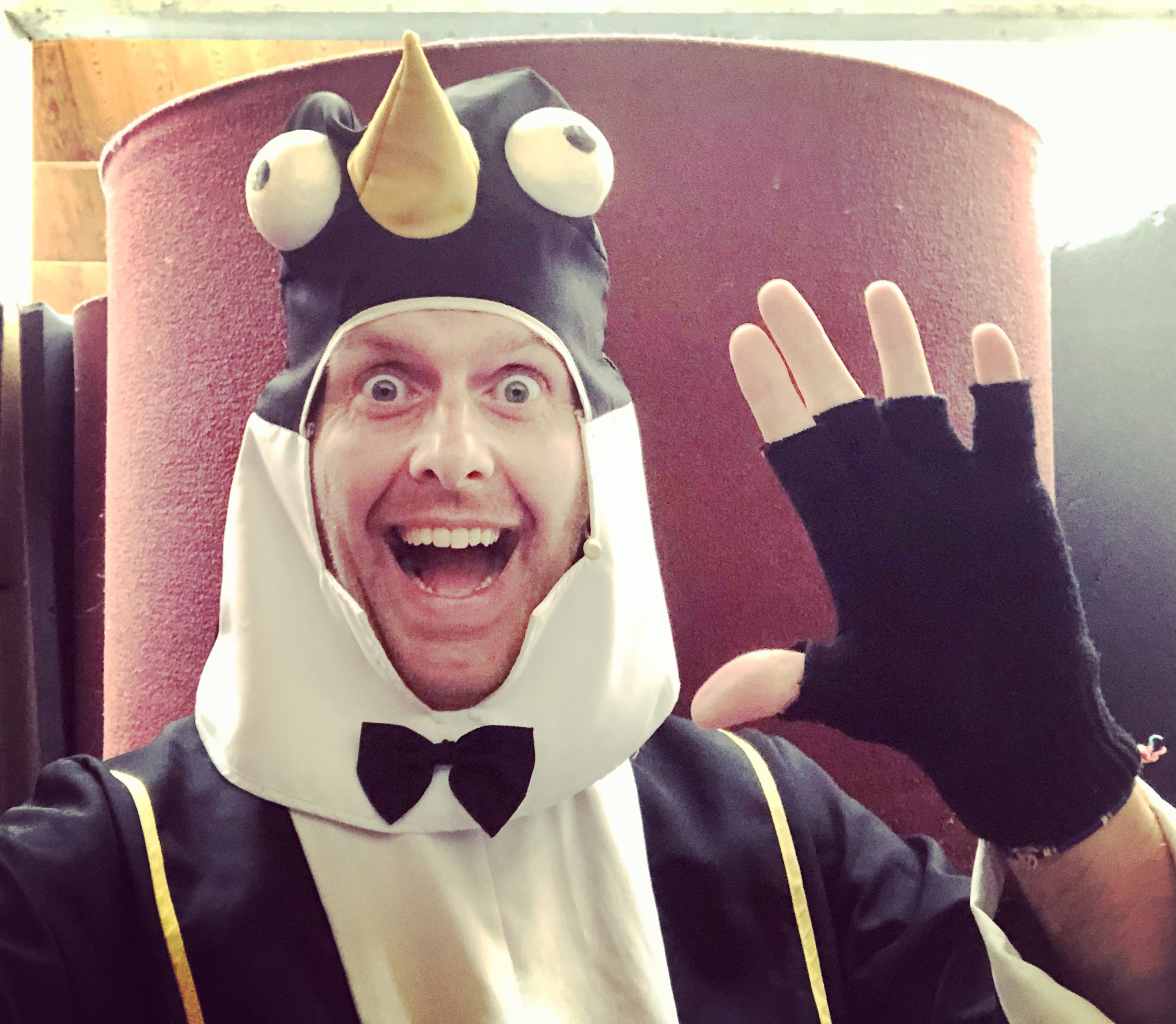 De vliegende Pinguin