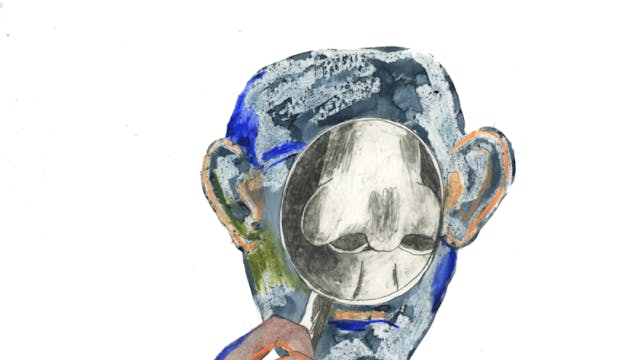 illustratie Charlotte Peys