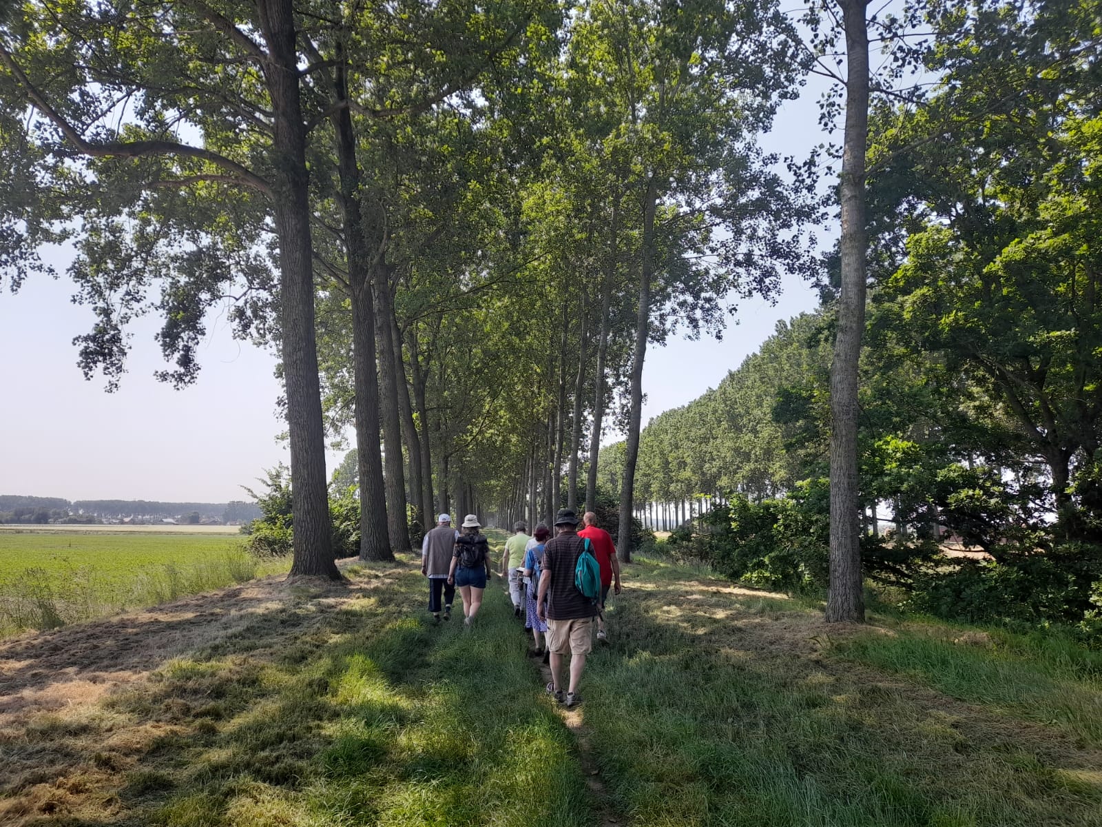 Verrassingswandeling