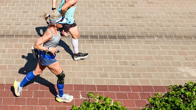 GEMEENTEBESTUUR KNOKKE-HEIST