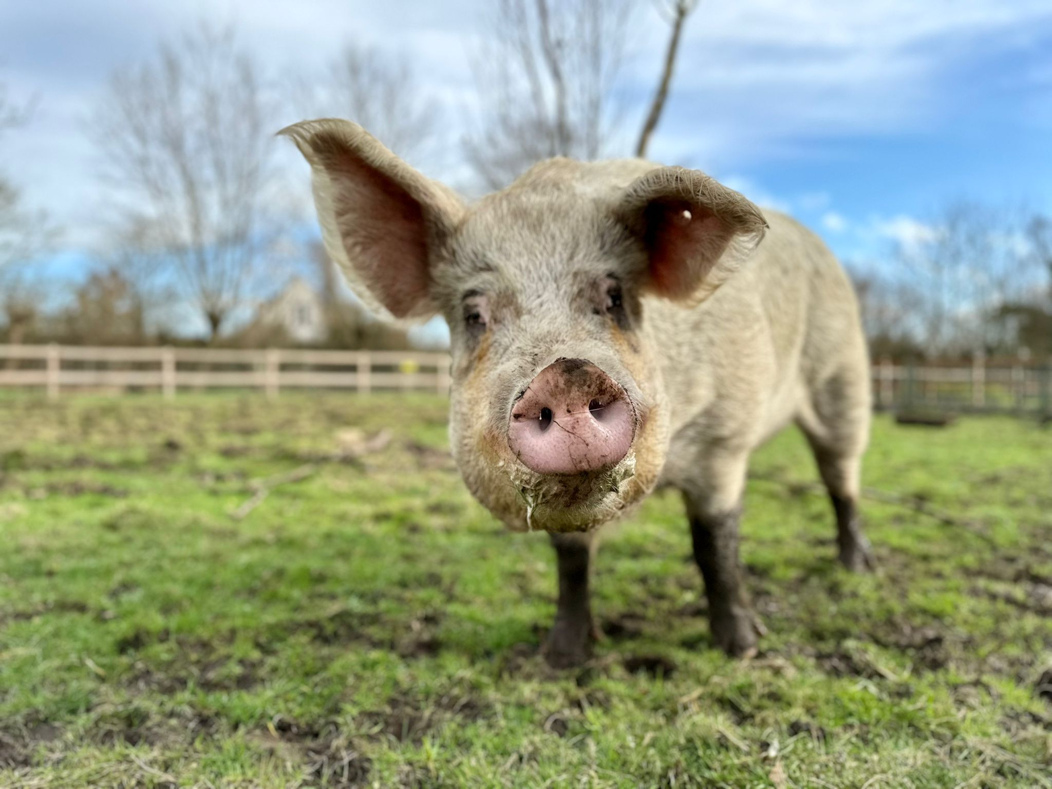 Schoolhoeve De Campagne