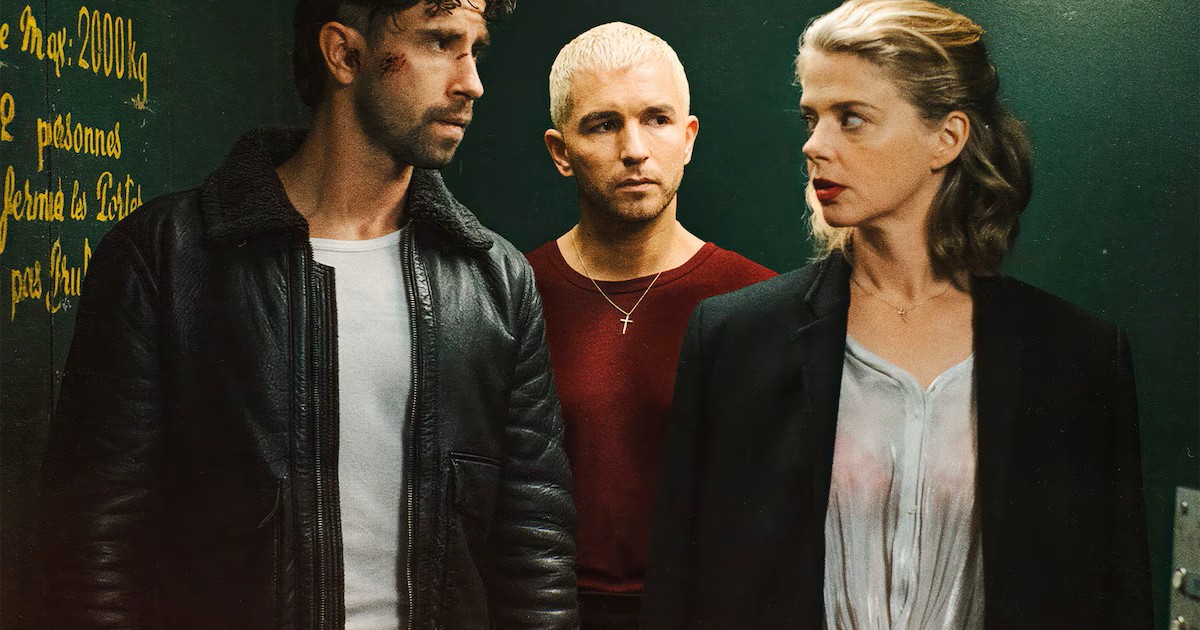 Nachtvlinders Hamont-Achel