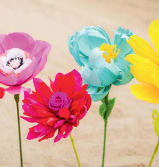 Image for gzbd activity