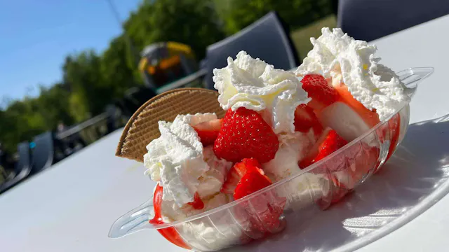 Onze heerlijke coupe met aardbeien