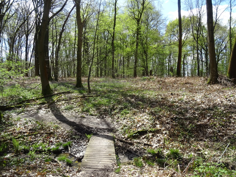 Kravaalbos met gids Arnaud