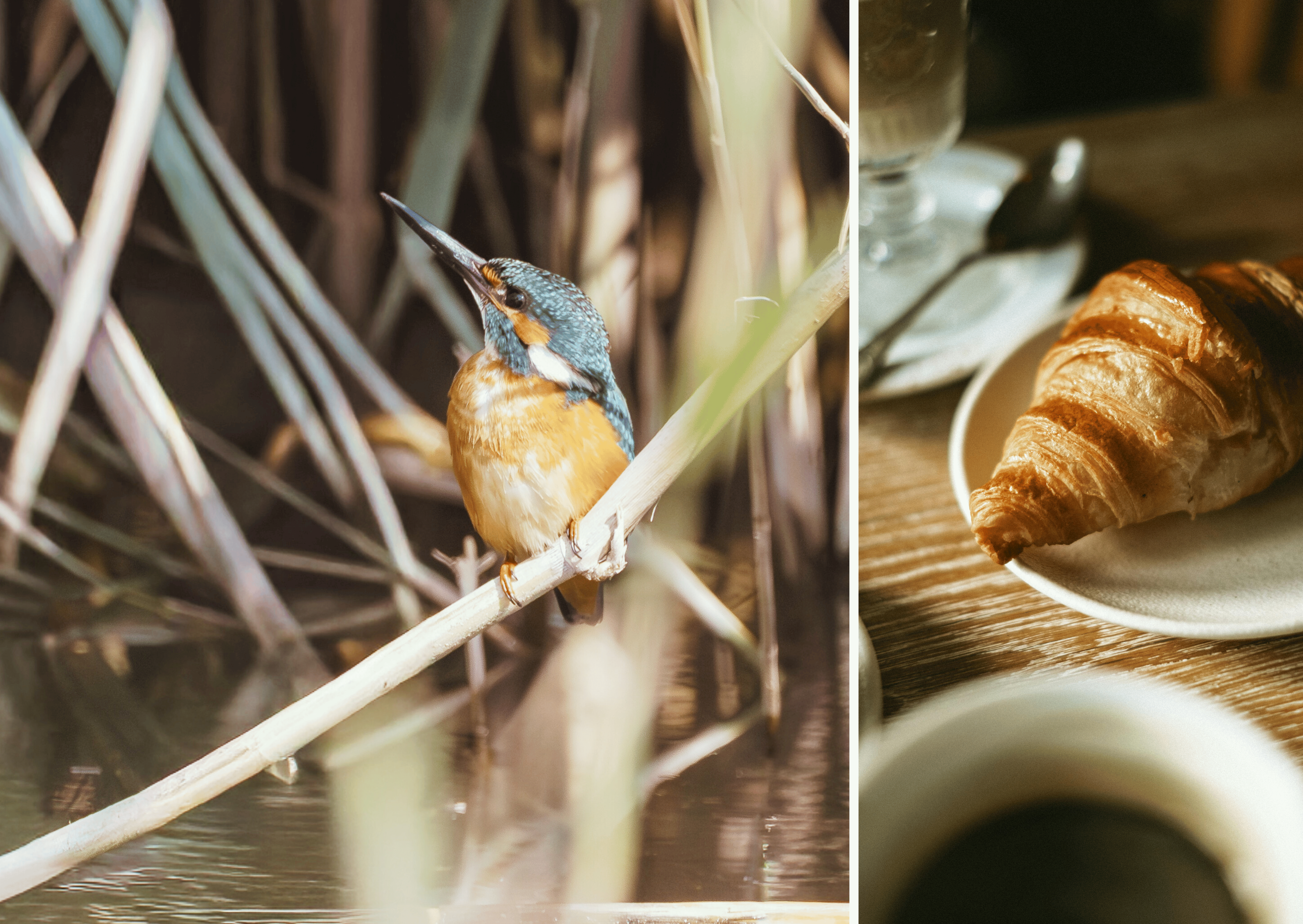 Vroeg ochtendwandeling met ontbijt