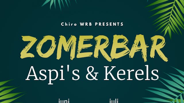 Affiche zomerbar Chiro WRB