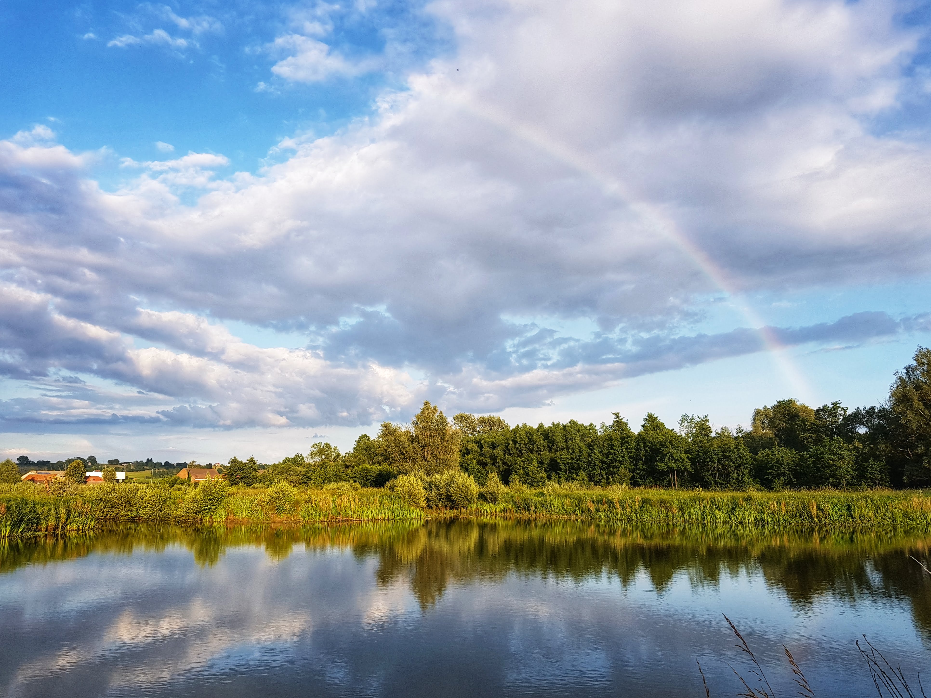 De centrale vijver van Paddenbroek