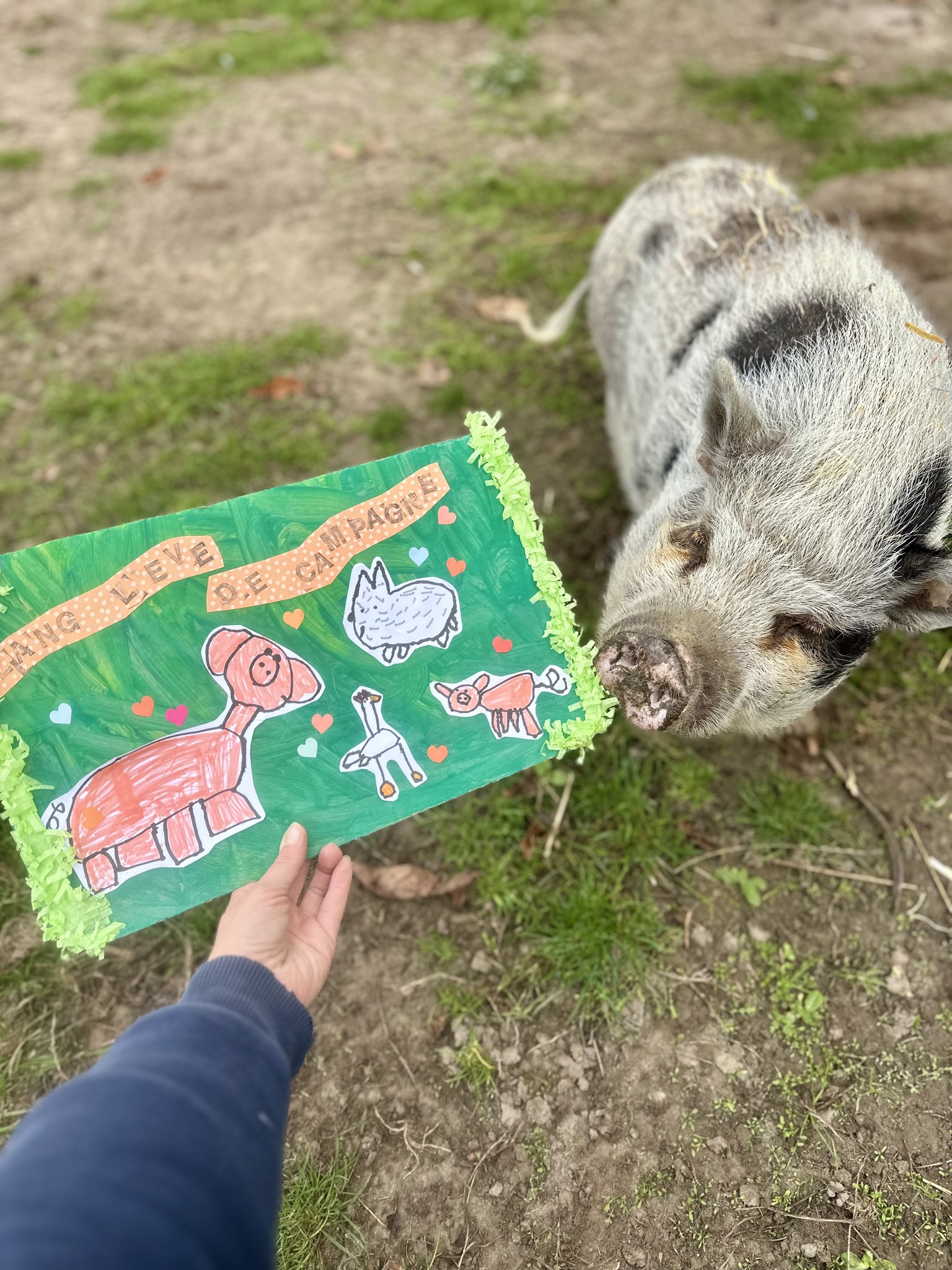 Jeugdboekenmaand op Schoolhoeve De Campagne