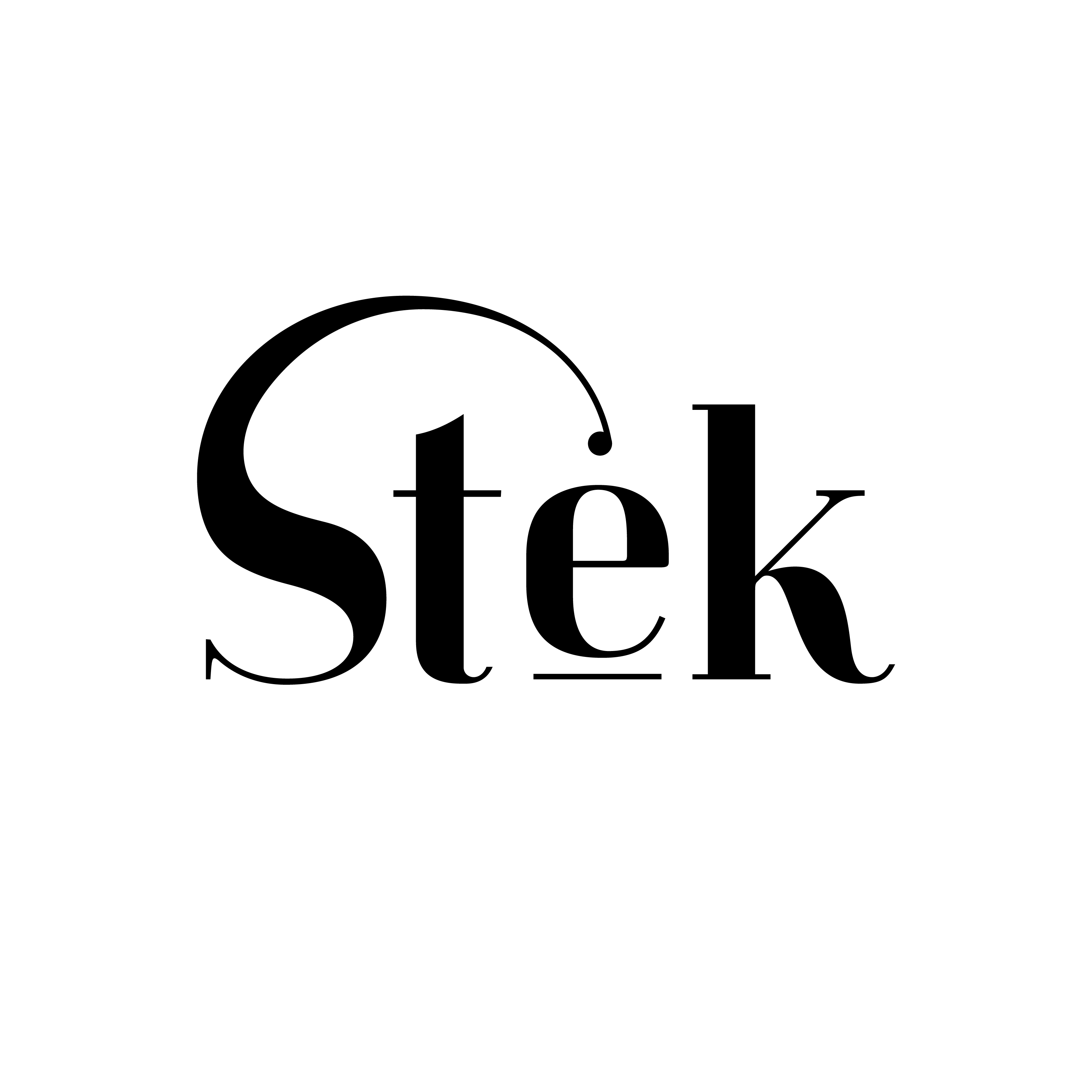 Stek logo