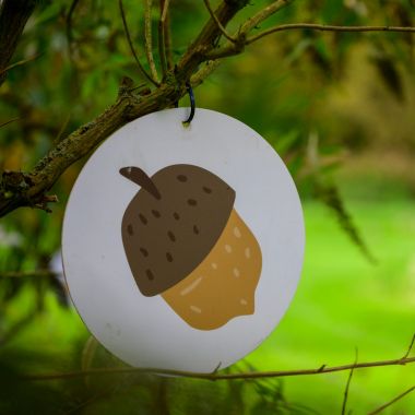 Herfstspeurtocht: op eikenjacht