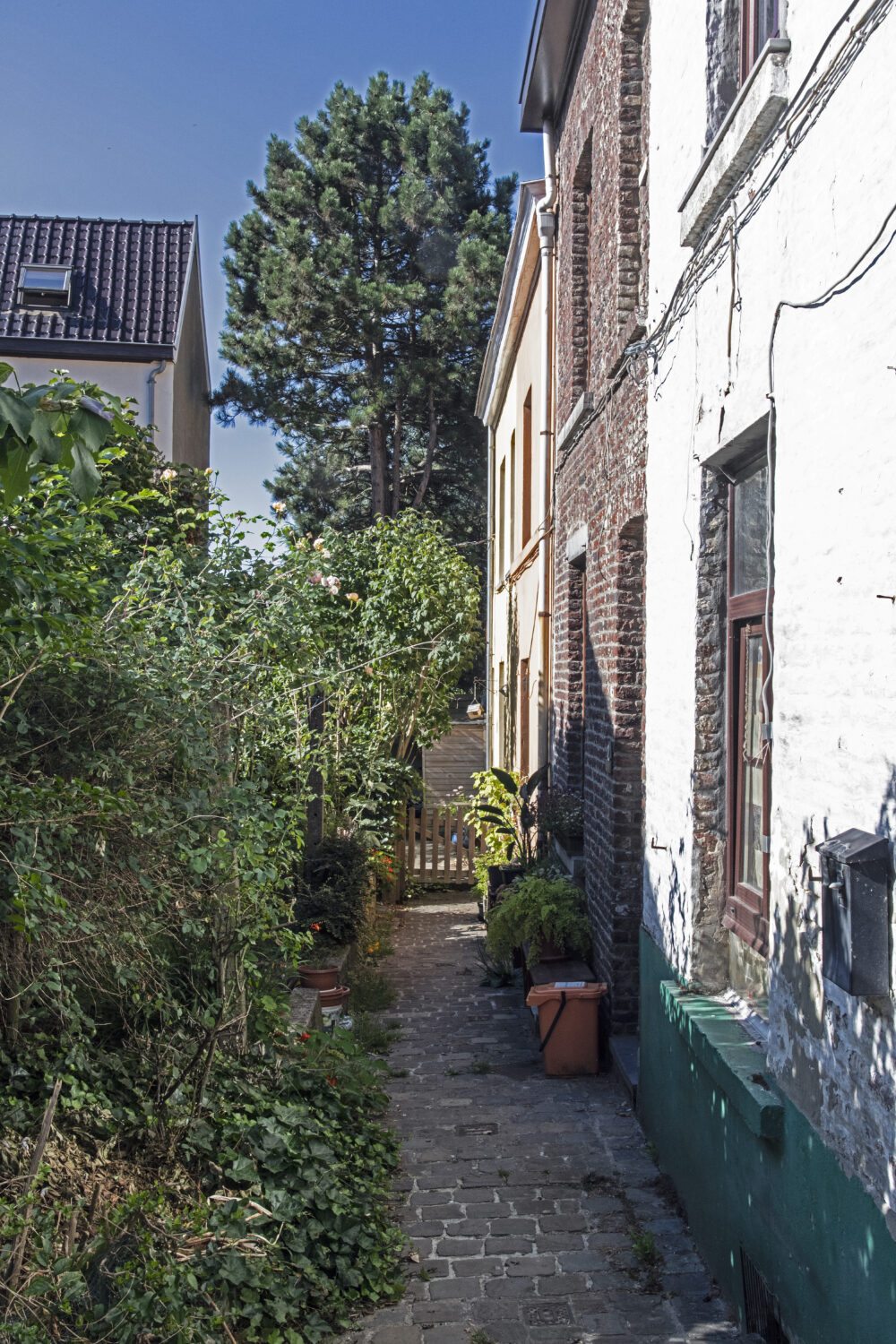 Uccle, de carrés en jardins : le quartier du Chat