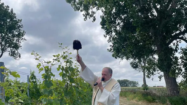 zegening wijngaard