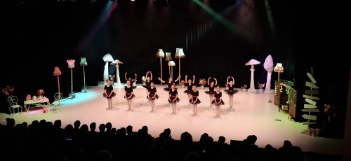 Dansvoorstelling