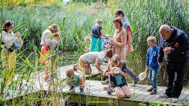 Waterdieren vangen aan de vijver.