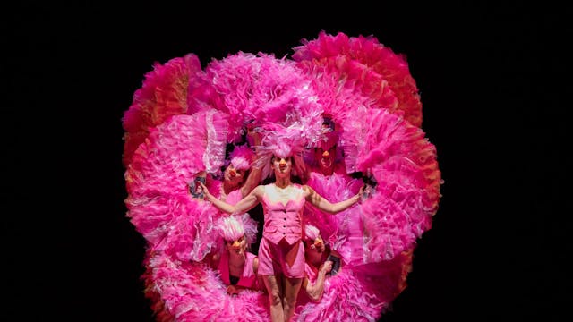 Carnaval des Animaux (4+) - La Llave Maestra (ES/CL)