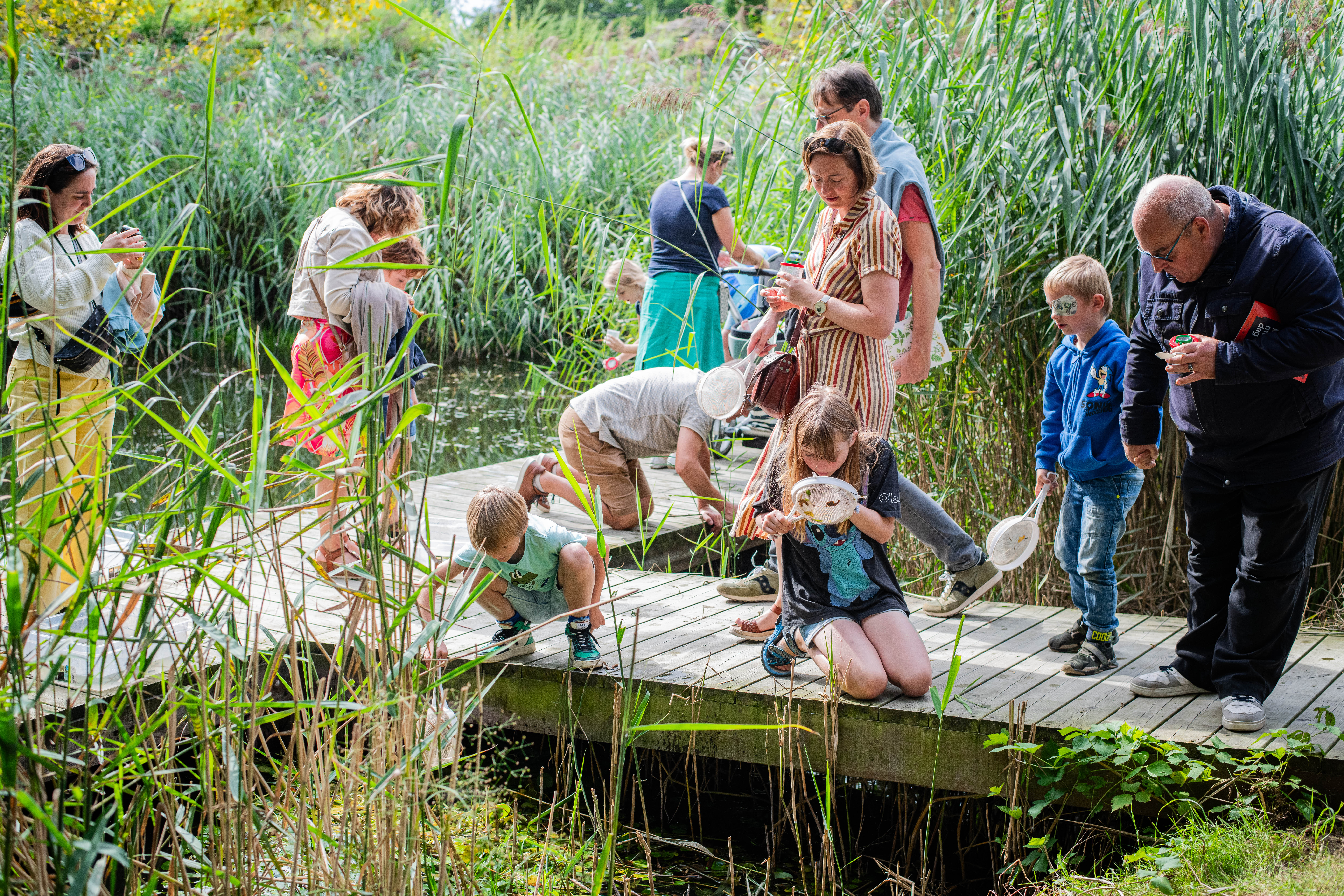 Waterdieren onderzoeken aan de vijver.