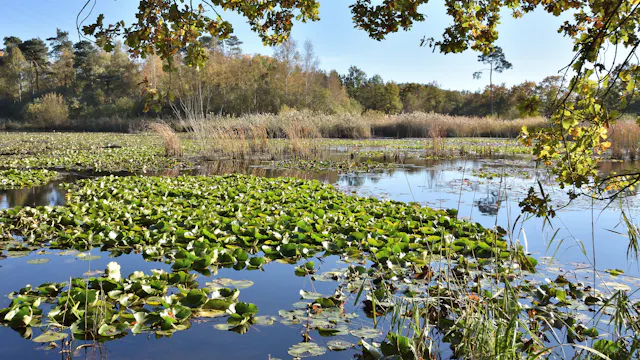 EXCLUSIEF THIEWINKEL