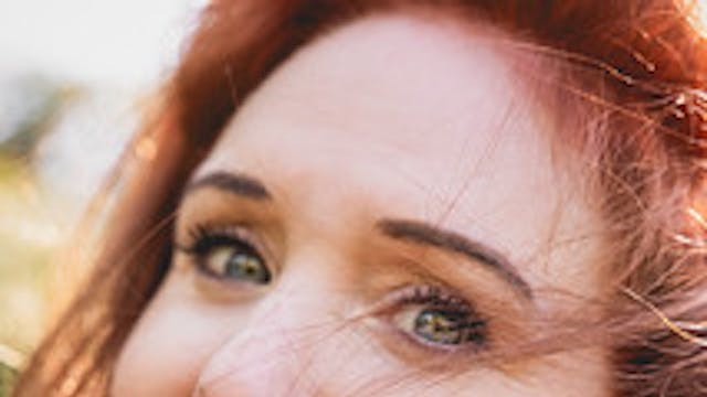 Paarse Zetel in de Krook | Fleur Pierets