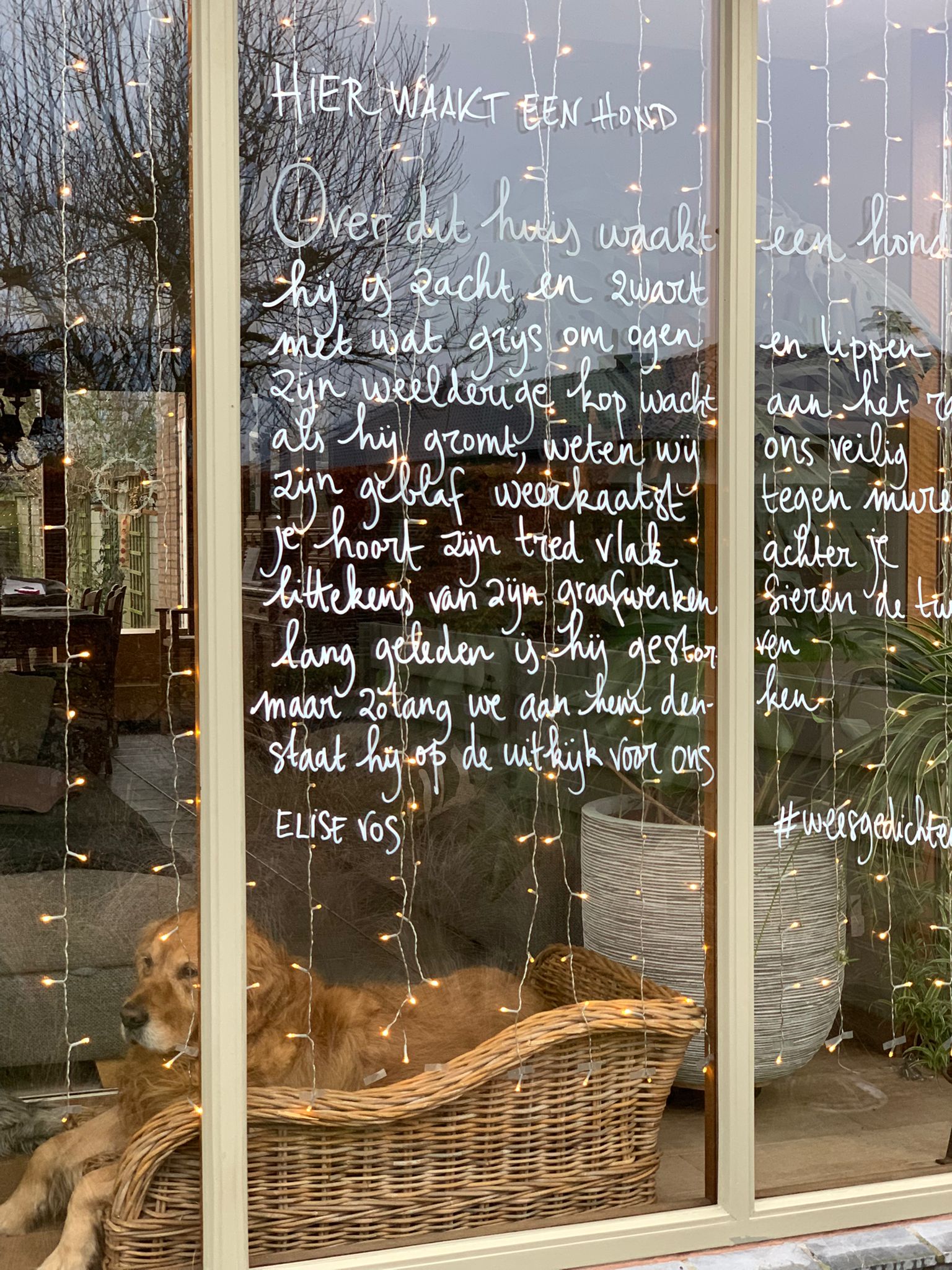 hier waakt een hond / Elise Vos