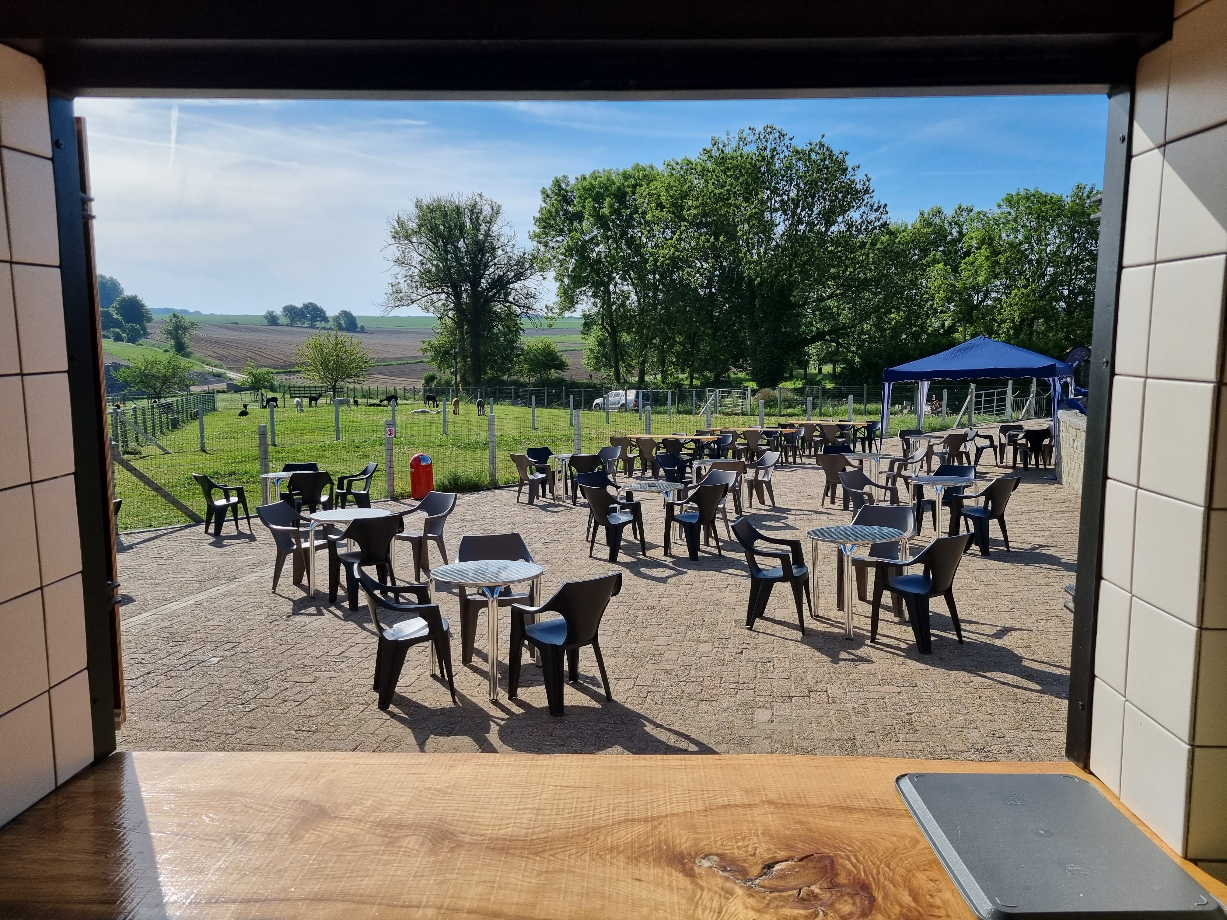 uitzicht van de bar over het terras
