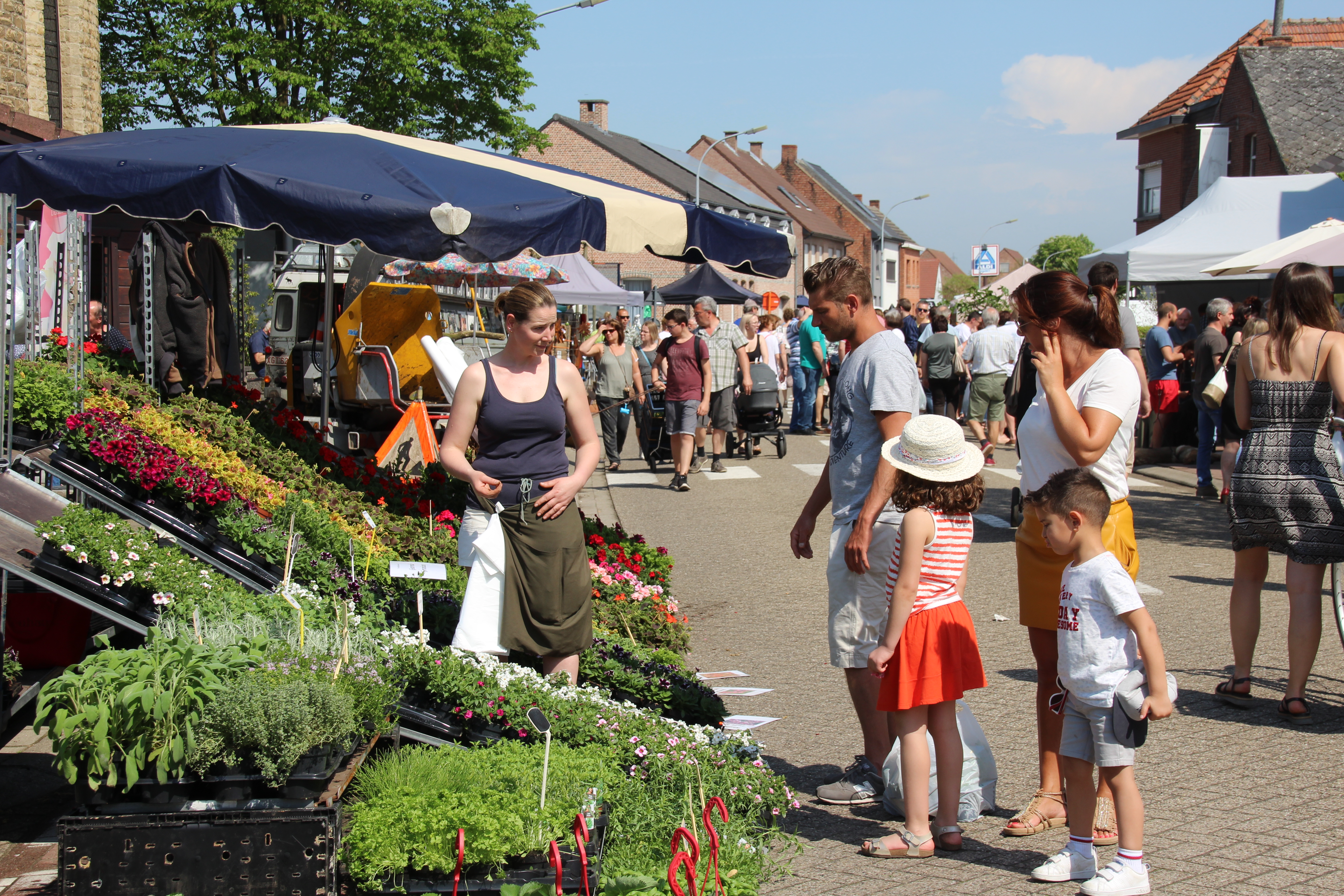 2024 plantenbeurs promo